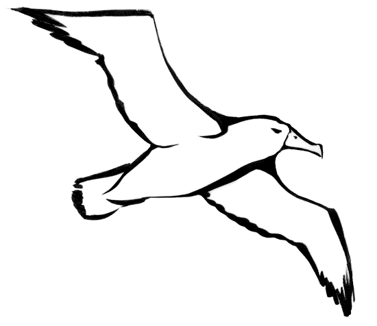 imagini de colorat albatros